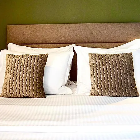 Tampa View * Braşov