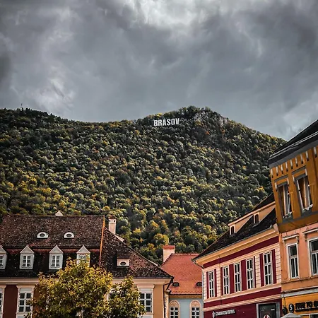 Tampa View דירה *